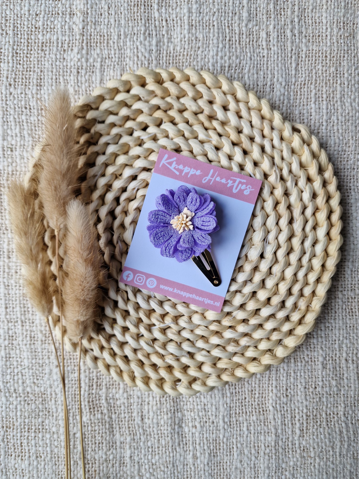 Bloem Annemoon Paars