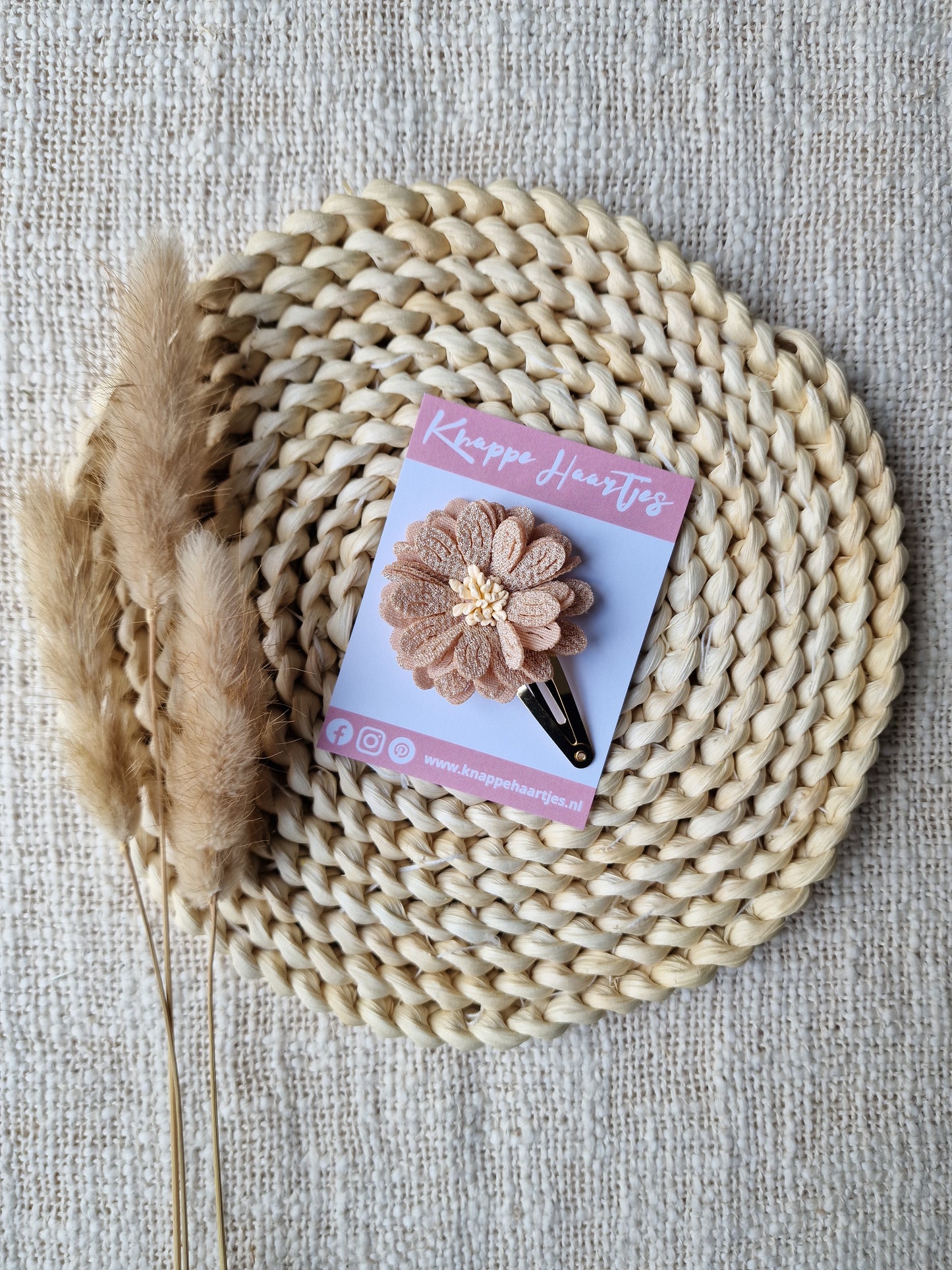 Bloem Annemoon Taupe